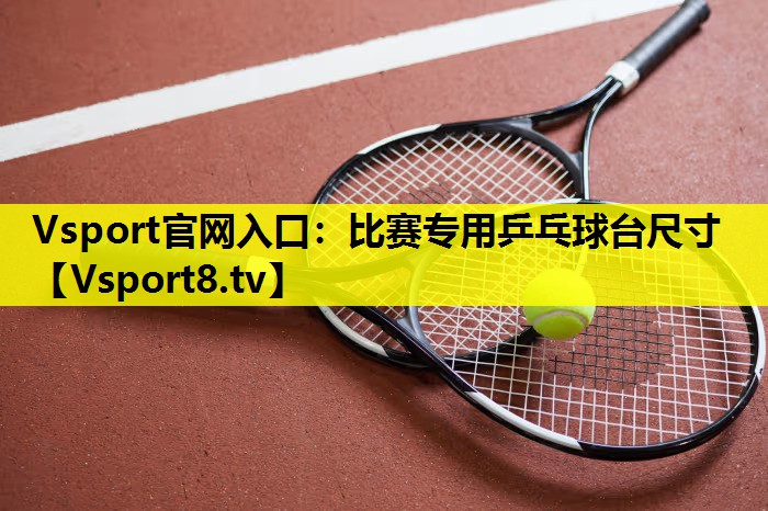 Vsport官网入口：比赛专用乒乓球台尺寸