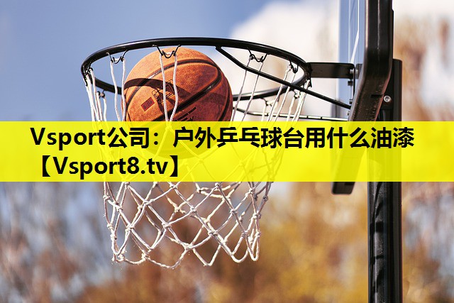 Vsport公司：户外乒乓球台用什么油漆