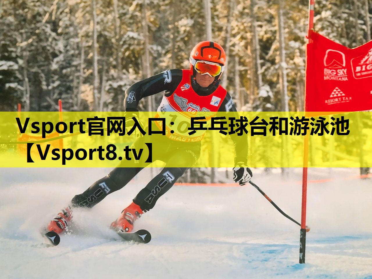 Vsport官网入口：乒乓球台和游泳池