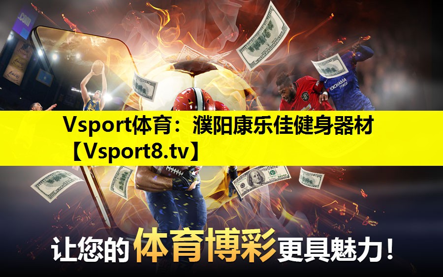 Vsport体育：濮阳康乐佳健身器材