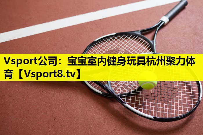 Vsport公司：宝宝室内健身玩具杭州聚力体育