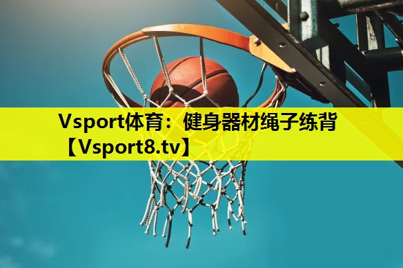 Vsport体育：健身器材绳子练背