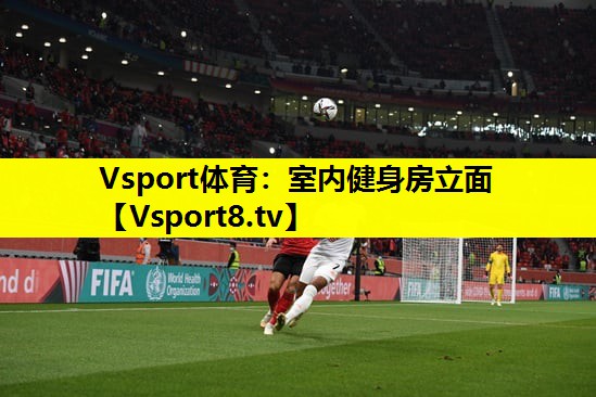 Vsport体育：室内健身房立面