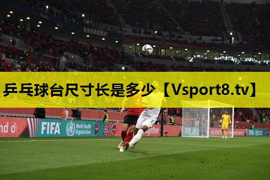 乒乓球台尺寸长是多少