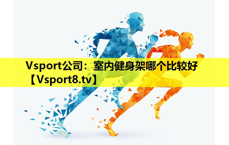 Vsport公司：室内健身架哪个比较好