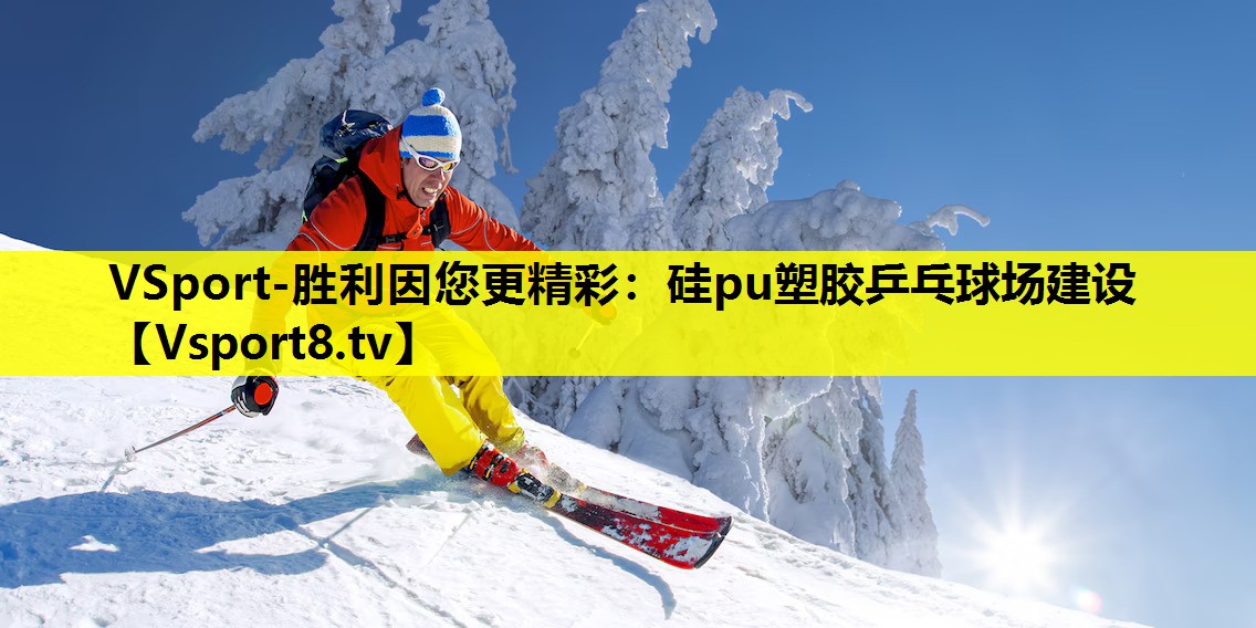 VSport-胜利因您更精彩：硅pu塑胶乒乓球场建设