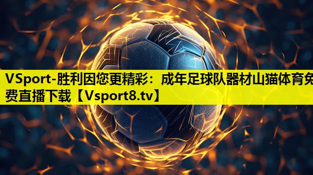 VSport-胜利因您更精彩：成年足球队器材山猫体育免费直播下载