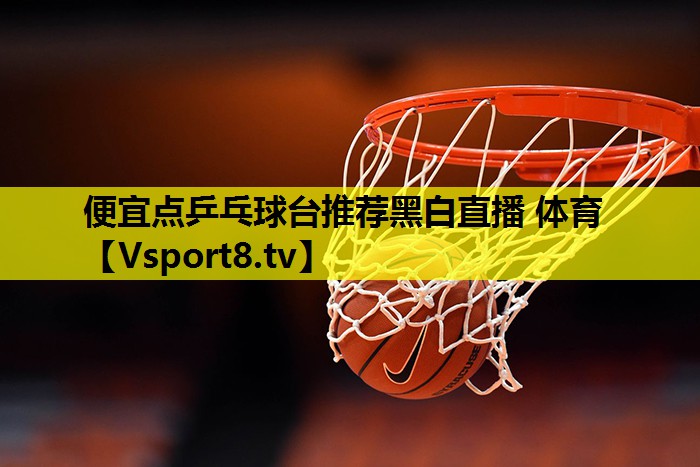 便宜点乒乓球台推荐黑白直播 体育