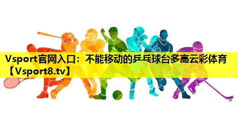 Vsport官网入口：不能移动的乒乓球台多高云彩体育