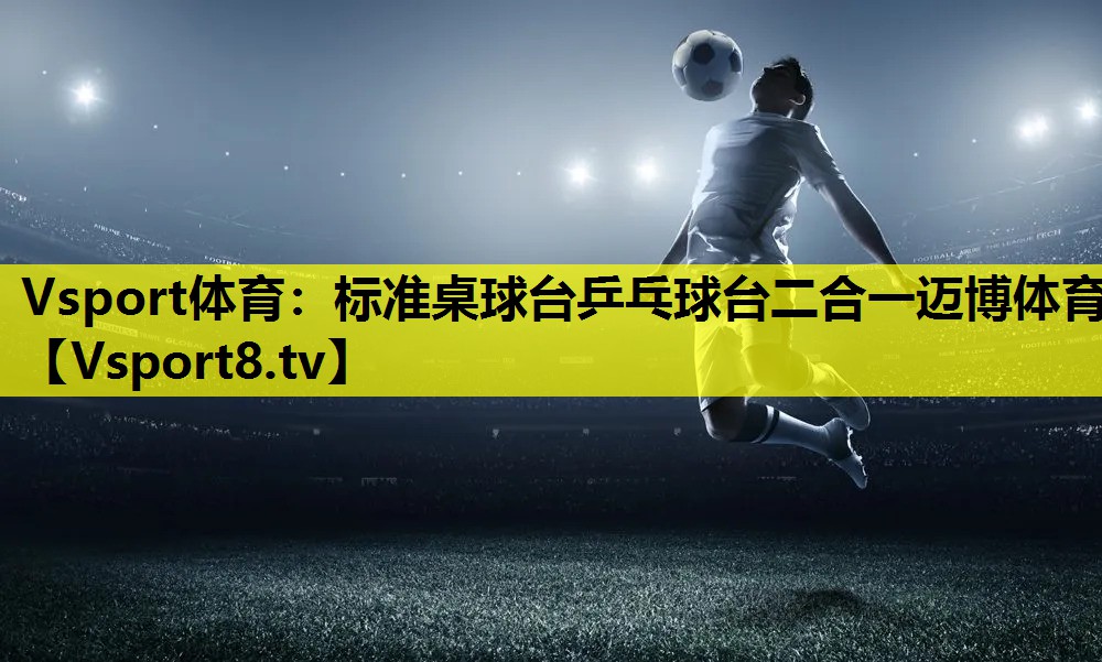Vsport体育：标准桌球台乒乓球台二合一迈博体育