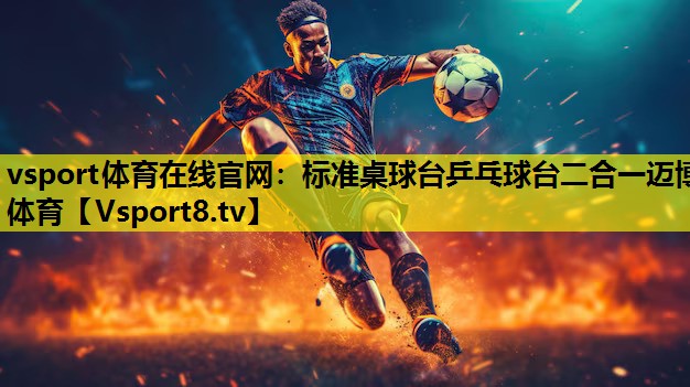 vsport体育在线官网：标准桌球台乒乓球台二合一迈博体育