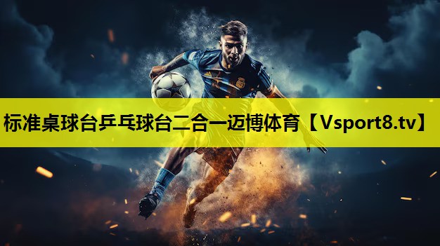 标准桌球台乒乓球台二合一迈博体育