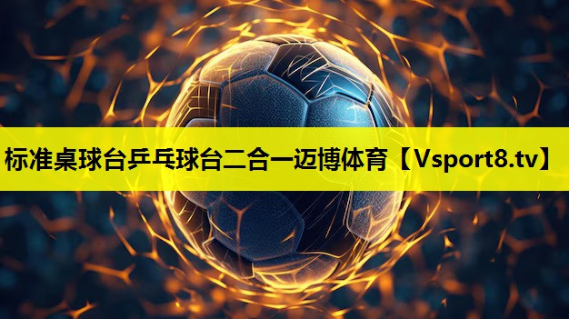 标准桌球台乒乓球台二合一迈博体育