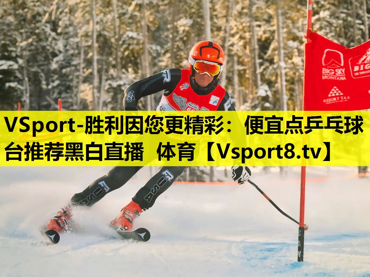 VSport-胜利因您更精彩：便宜点乒乓球台推荐黑白直播 体育