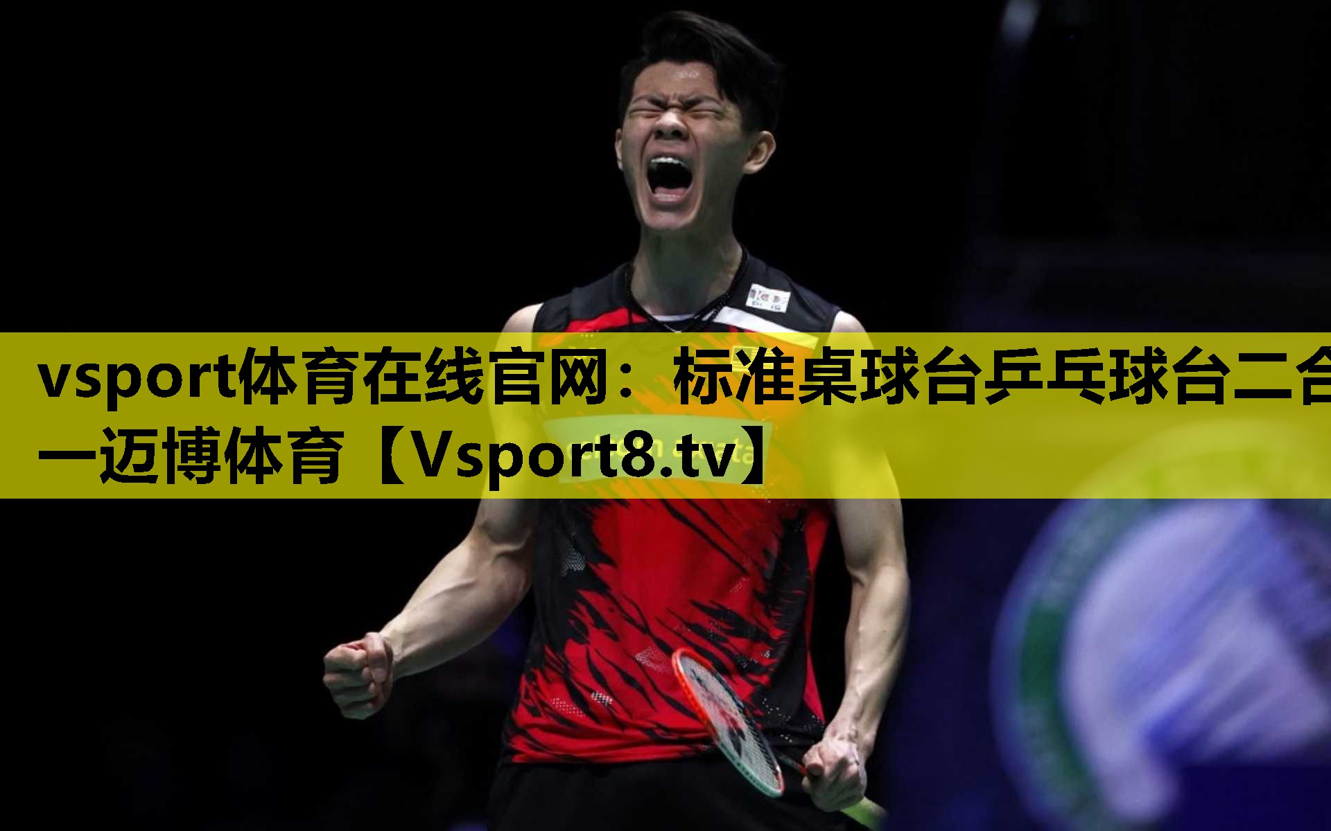 vsport体育在线官网：标准桌球台乒乓球台二合一迈博体育