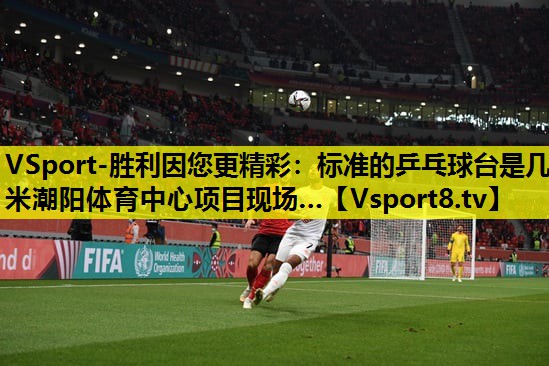 VSport-胜利因您更精彩：标准的乒乓球台是几米潮阳体育中心项目现场…