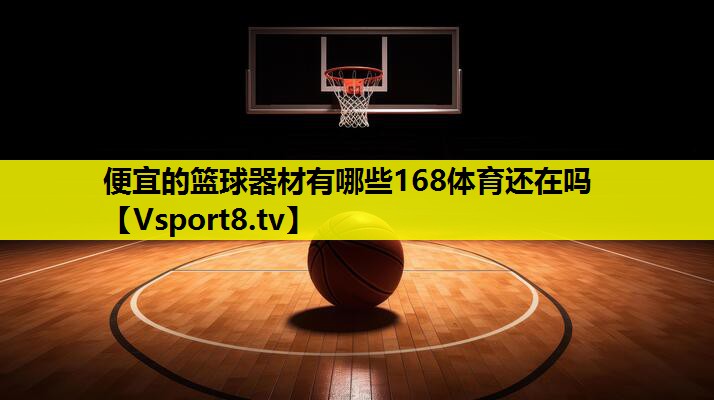 便宜的篮球器材有哪些168体育还在吗