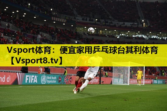 Vsport体育：便宜家用乒乓球台其利体育