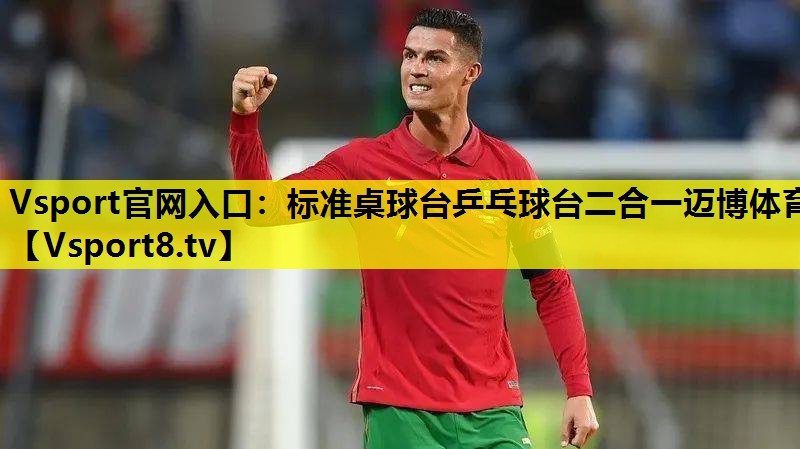 Vsport官网入口：标准桌球台乒乓球台二合一迈博体育