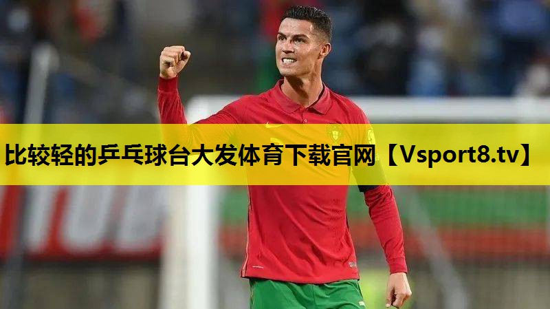 比较轻的乒乓球台大发体育下载官网
