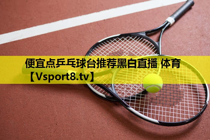 便宜点乒乓球台推荐黑白直播 体育