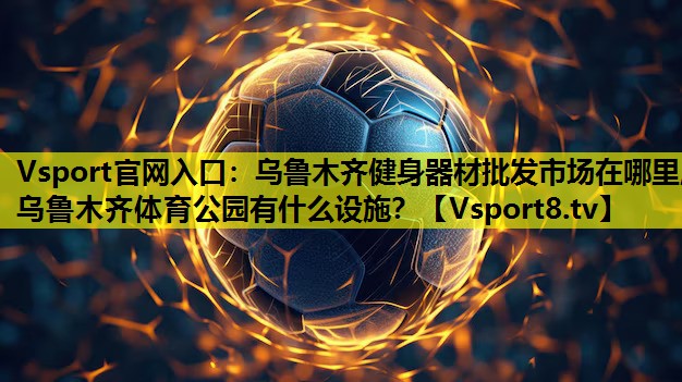 Vsport官网入口：乌鲁木齐健身器材批发市场在哪里,乌鲁木齐体育公园有什么设施？