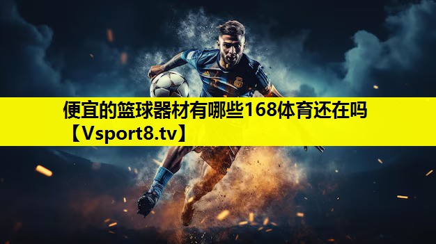 便宜的篮球器材有哪些168体育还在吗