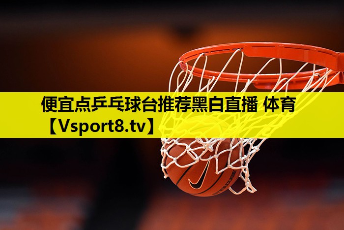 便宜点乒乓球台推荐黑白直播 体育