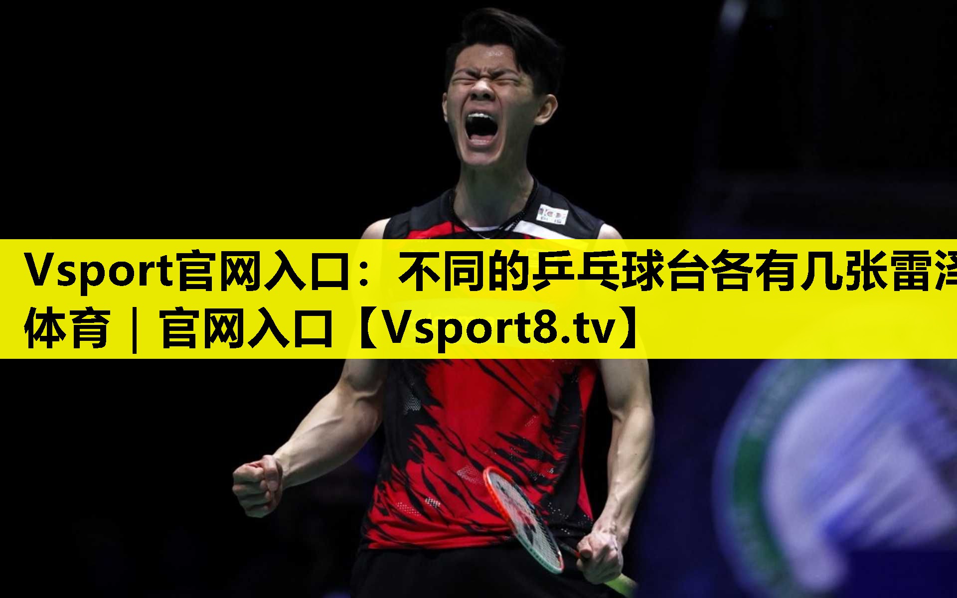 Vsport官网入口：不同的乒乓球台各有几张雷泽体育｜官网入口