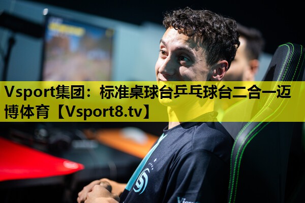 Vsport集团：标准桌球台乒乓球台二合一迈博体育