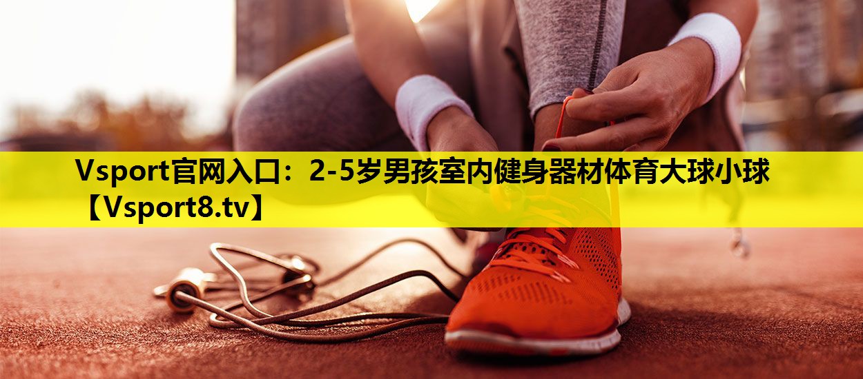 Vsport官网入口：2-5岁男孩室内健身器材体育大球小球