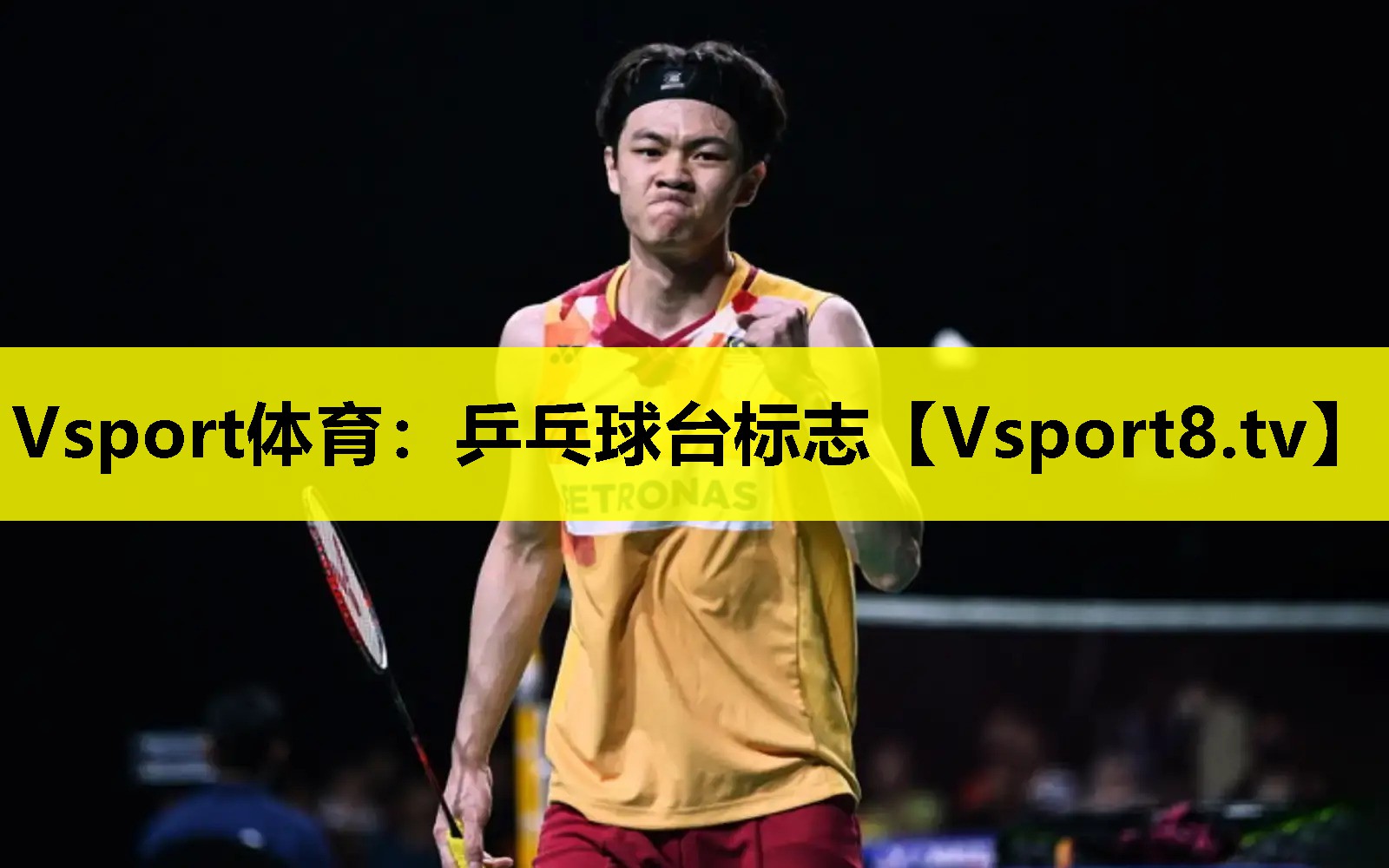 乒乓球台标志 乒乓球台标志