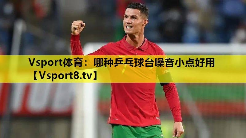 哪种乒乓球台噪音小点好用