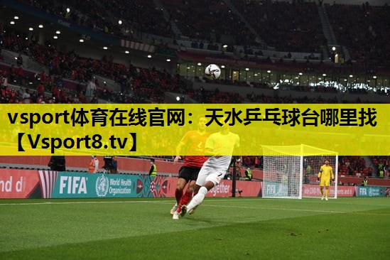 天水乒乓球台哪里找 天水乒乓球台哪里找