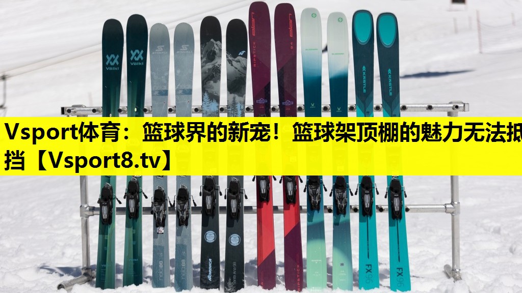 篮球界的新宠!篮球架顶棚的魅力无法抵挡 篮球界的新宠!篮球架顶棚的魅力无法抵挡